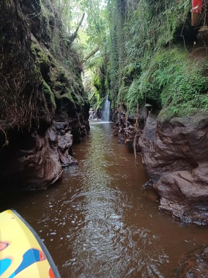 Hamilton Gardens: 30 min Ecological River Cruise - Final Thoughts: Is It Worth It?