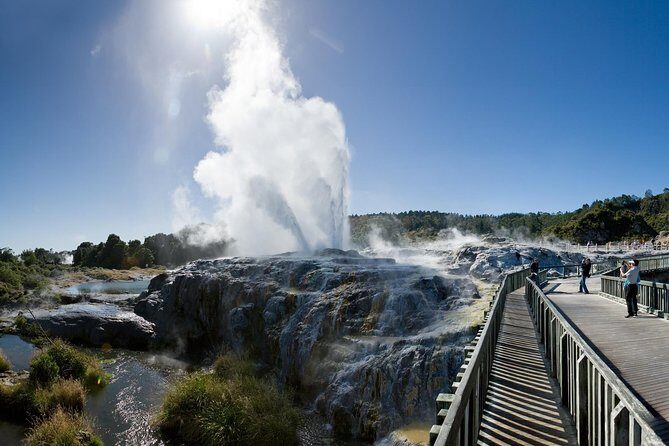 Hamilton Gardens & Hobbiton Exclusive Luxury Day Tour From Auckland - Why This Tour Offers Good Value