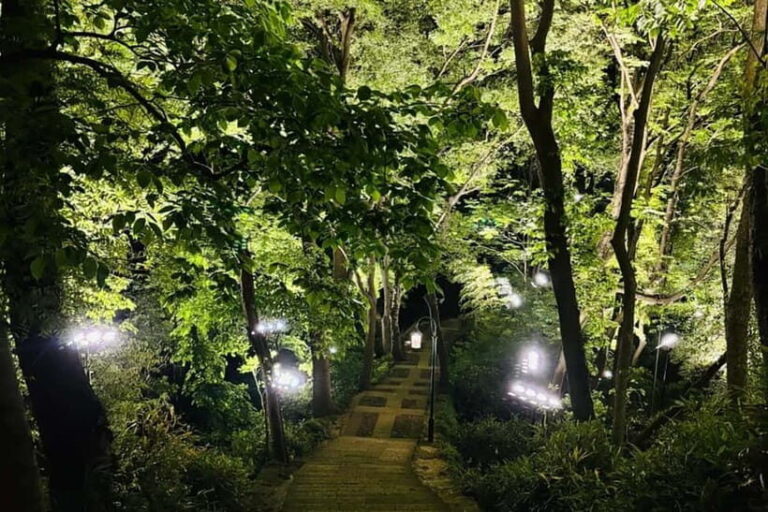 Hangzhou : Cool Morning/Night Baoshi Mountain Guided Tour - The Sum Up