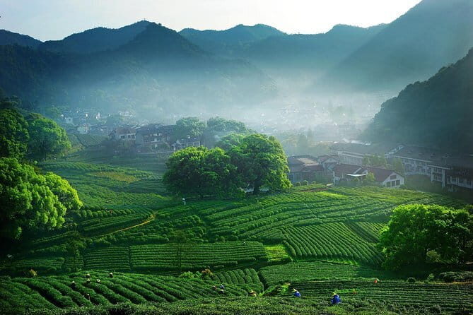 Hangzhou Heaven on Earth Full Day Private Tour from Shanghai - Analyzing the Experience