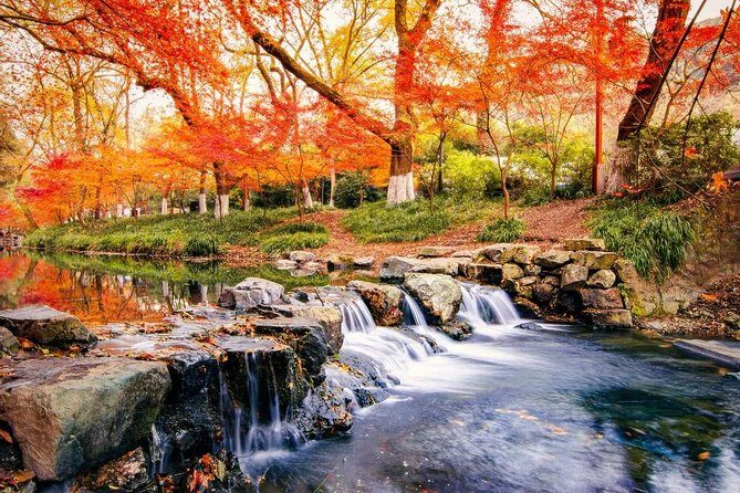 Hangzhou Jiuxi and Hupao Spring Hiking Day Trip from Shanghai by Bullet Train - Exploring the Itinerary in Detail
