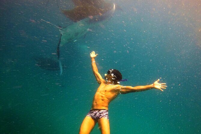 Hanifaru Bay Snorkeling with Whale sharks & Mana Rays - The Crowds and the Reality of the Experience