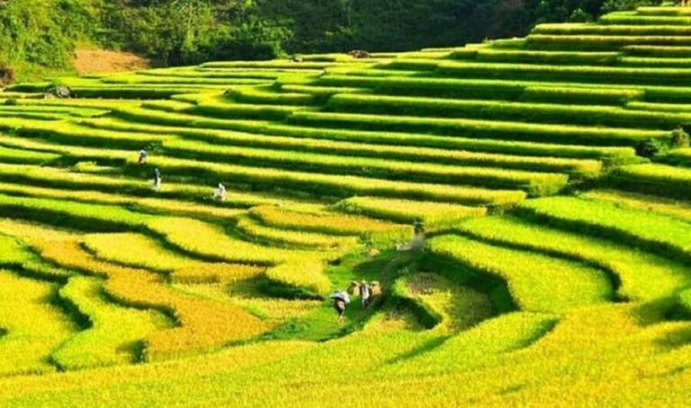 Hanoi: 4-day tour Immersion in the heart of the villages of northern Vietnam - What’s the Experience Like?