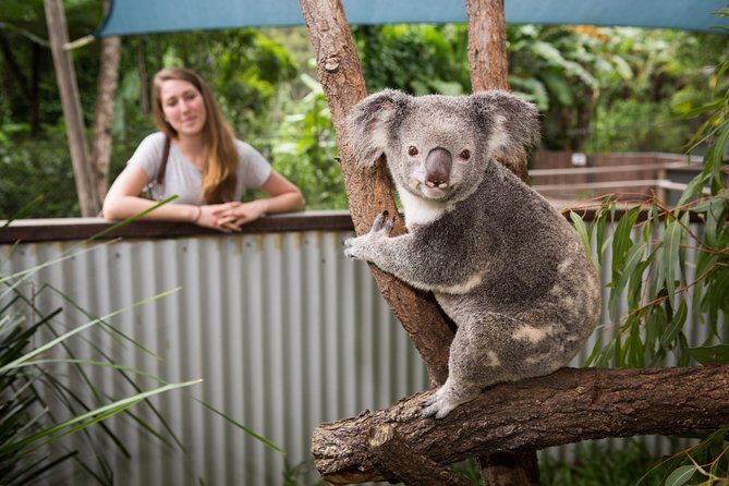 Hartley's Crocodile Adventures Day Trip from Cairns - Final Thoughts