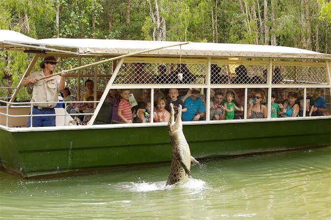 Hartleys Crocodile Adventures Half-Day Tour from Cairns - Practical Tips for Travelers