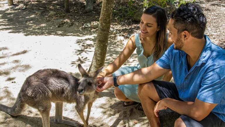 Hartley's Crocodile Adventures: Zootastic 5 + Entry Ticket - Who Should Book This Experience?