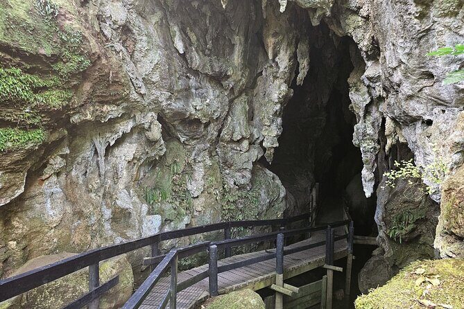 Haruru Waterfalls and Glow Worm Caves Tour - The Experience from the Guides