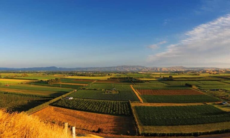 Hastings: Bridge Pa/Gimblett Winery Tour on a Regular Bike - Who Will Love This Tour?