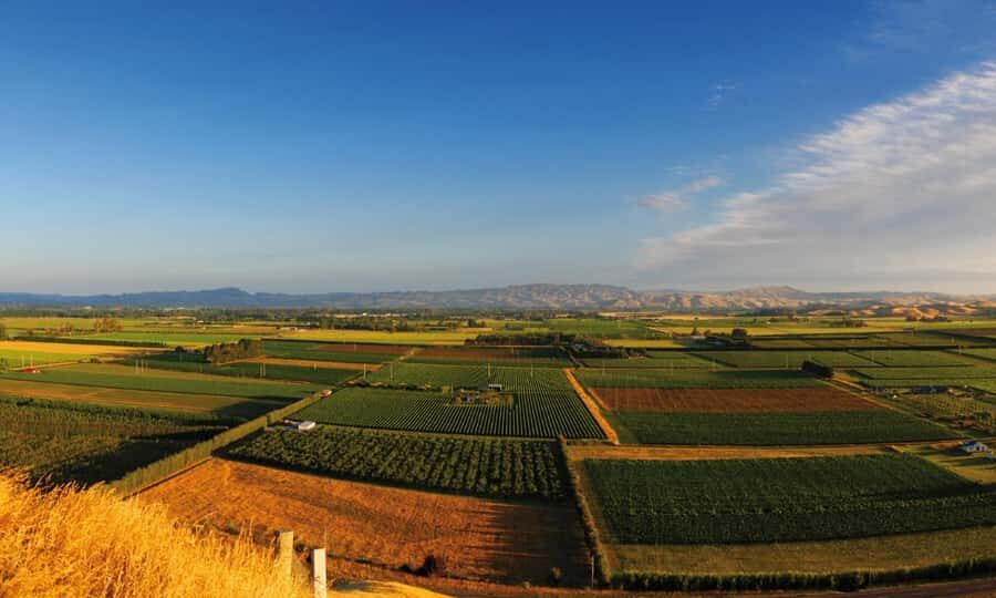 Hastings: Bridge Pa/Gimblett Winery Tour on a Regular Bike - Who Will Love This Tour?