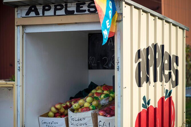 Hastings Caves, Tahune Airwalk and the Huon Tasting Trail - The Sum Up