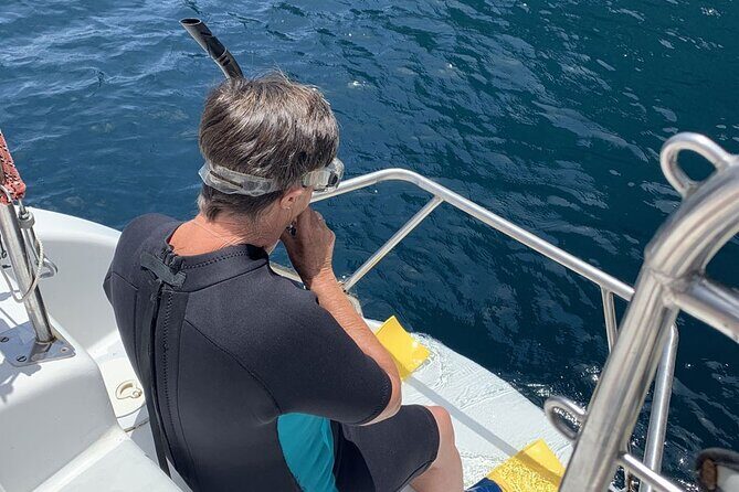 Hauraki Gulf Eco Sailing Adventure - The Value: Does the Price Match the Experience?