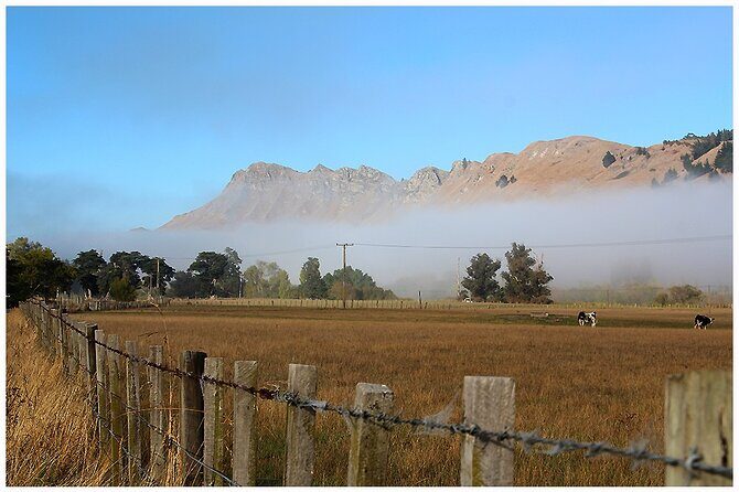 Hawkes Bay - Scenic, luncheon, wine Tour - Exploring Hawkes Bay’s Art Deco Heritage