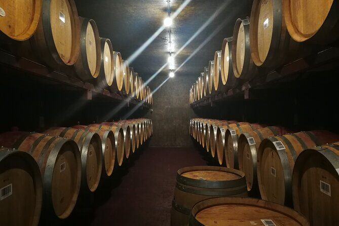Hawkes Bay Wine Tour: Explore NZ's Great Wine Capital - The Art Deco Introduction to Napier