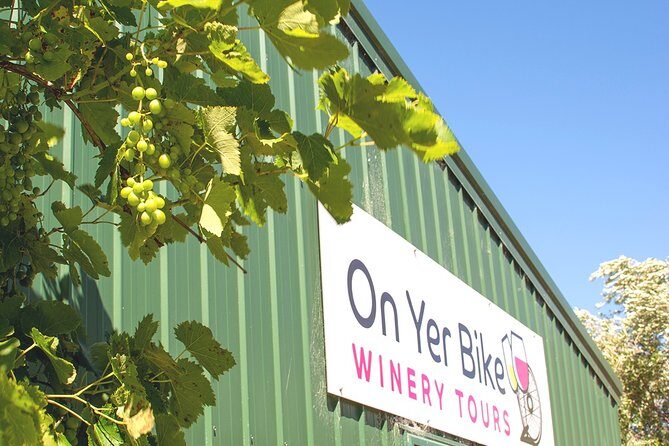 Hawkes Bay Wineries Self-Guided Electric Bike Tour - Authentic Experiences and What Travelers Say
