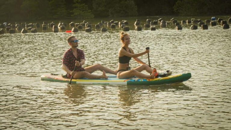 HCMC: Can Gio Mangrove Forest, Biosphere Museum & SUP Tour - An In-Depth Look at the Tour Experience