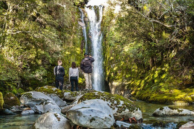 Heli-Picnic Alpine Lake Kahurangi National Park - Who Should Consider This Tour?