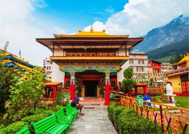 Heritage & Cultural Walking Tour Manali -Guided Walking Tour - Why This Tour Offers Great Value