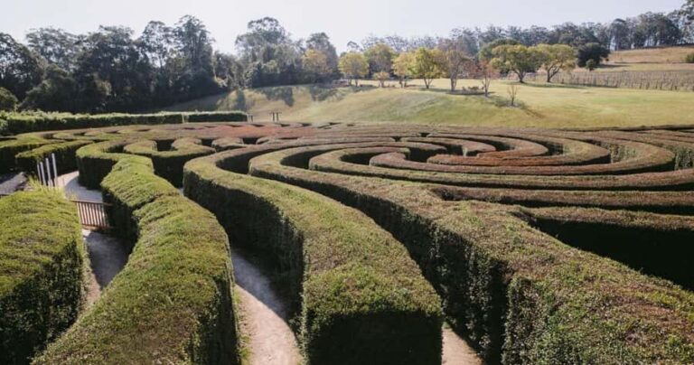 Herons Creek: Bago Maze Entry Ticket - What Past Visitors Say