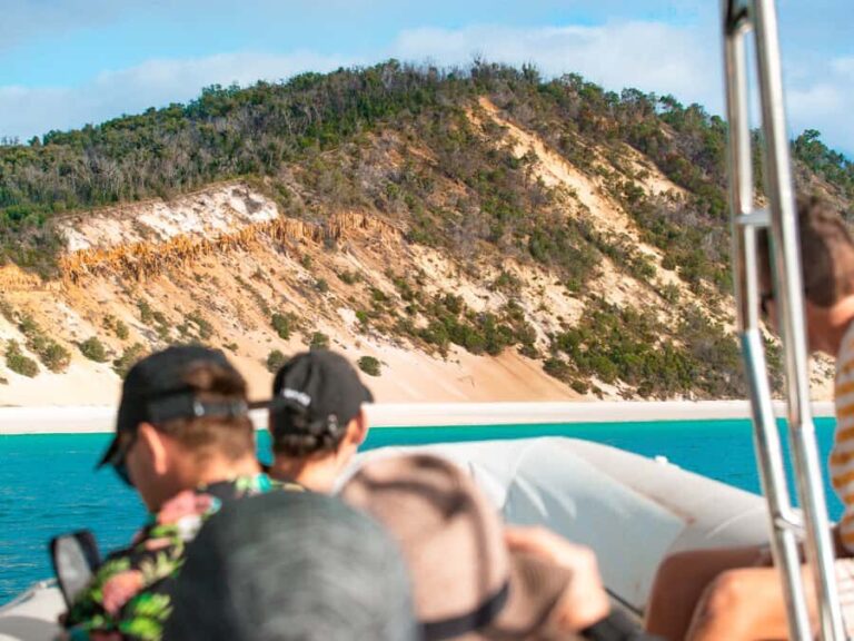 Hervey Bay: Half-Day Whale and Island Adventure by Boat - The Itinerary in Detail