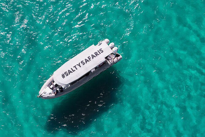 Hervey Bay: Half Day Whale watching & Island Stop Tour - Why This Tour Offers Good Value