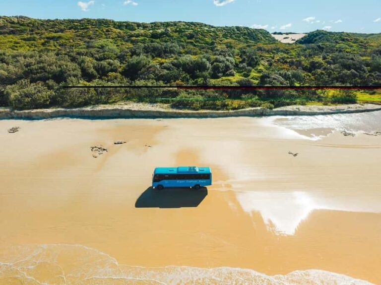 Hervey Bay: K'Gari 5 Day Ultimate Adventure + Illumina - Exploring Fraser Island: What to Expect