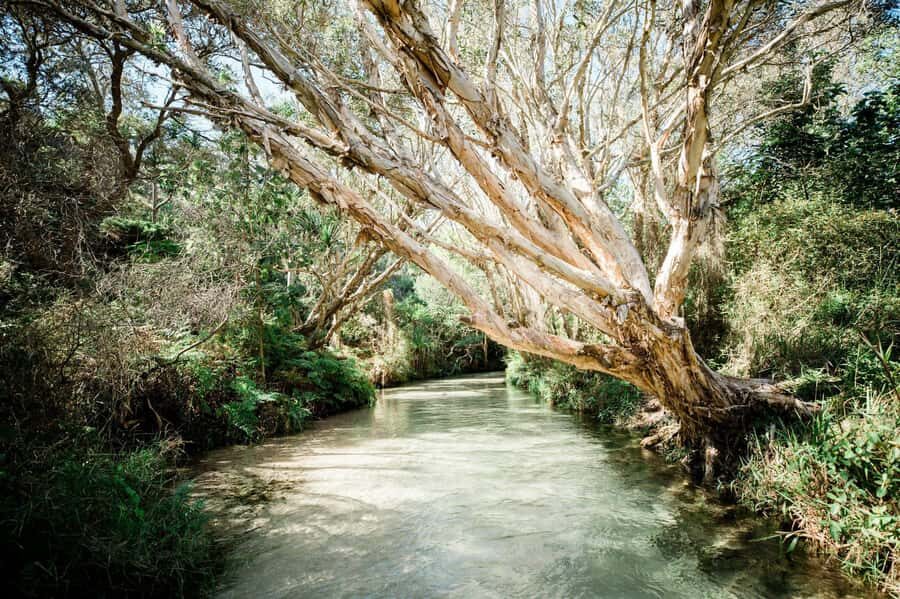 Hervey Bay: K'Gari (Fraser Island) 5 Day Ultimate Adventure - Why This Tour Offers Good Value