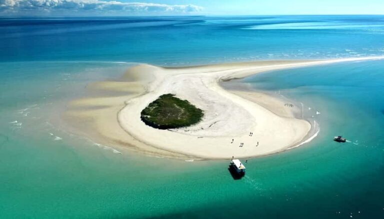 Hervey Bay: Turtle Discovery Eco Tour - Final Thoughts: Who Is This Tour Best For?