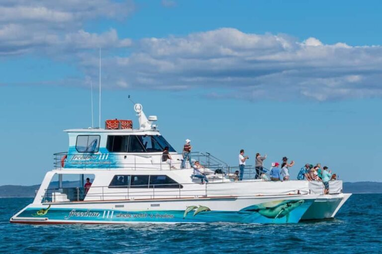Hervey Bay Whale Odyssey Cruise - What’s Special About the Itinerary?