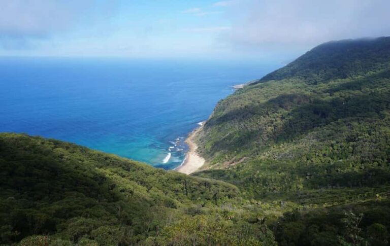 Hidden beaches and waterfalls Day trip ! - Wildlife Encounters: A Natural Treasure Hunt