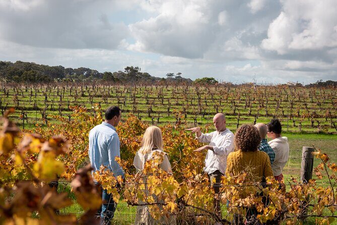 Hidden Gems: Boutique Full-Day Wine, Farm & Lunch Tour - Transportation & Group Size