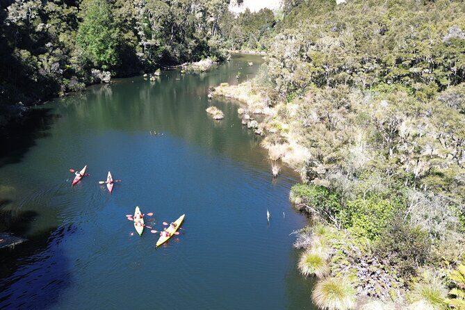 Hidden Lake Kayak Tour in Taups Secret Gem - Who Should Book This Tour?
