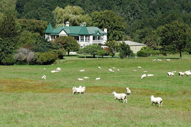 High Country Discovery Tour from Queenstown - Why the Price Is Worth It