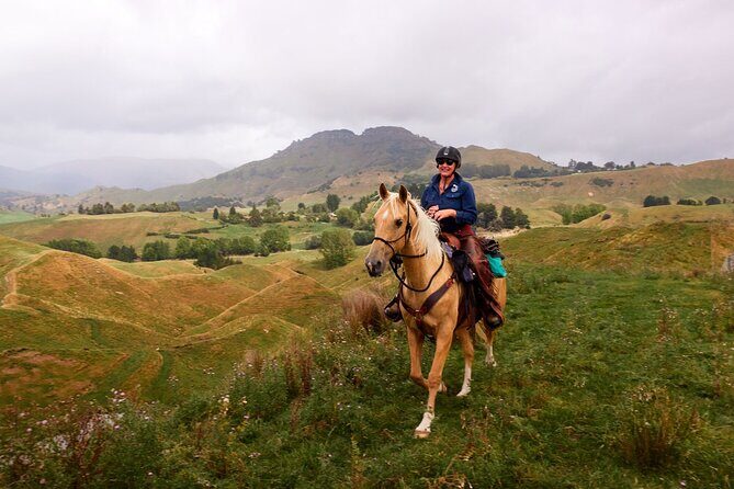High Country Enchantment Full-Day Horse Trek - Price and Value