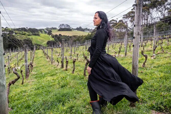 High End Sommelier Tour on Waiheke Island - The Experience’s Value and Price Analysis