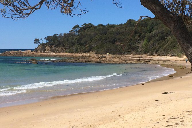 Highlights of the Eurobodalla (half day private tour) - Practical Details and What They Mean for You