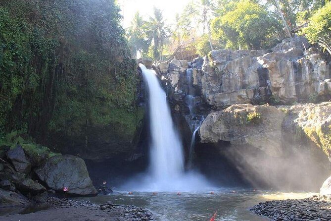 Highlights of Ubud: Nature, Rice Terrace, Waterfall, Temple and more - The Itinerary Breakdown: What You Can Expect
