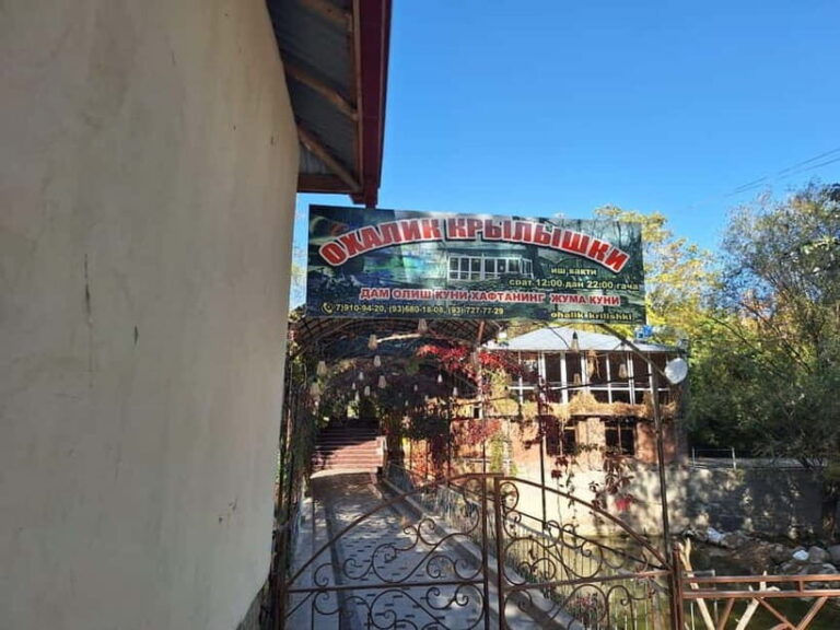 Hiking from Samarkand ( Ohalik village and Mountains) - The Next Day: The Hike and the Waterfall