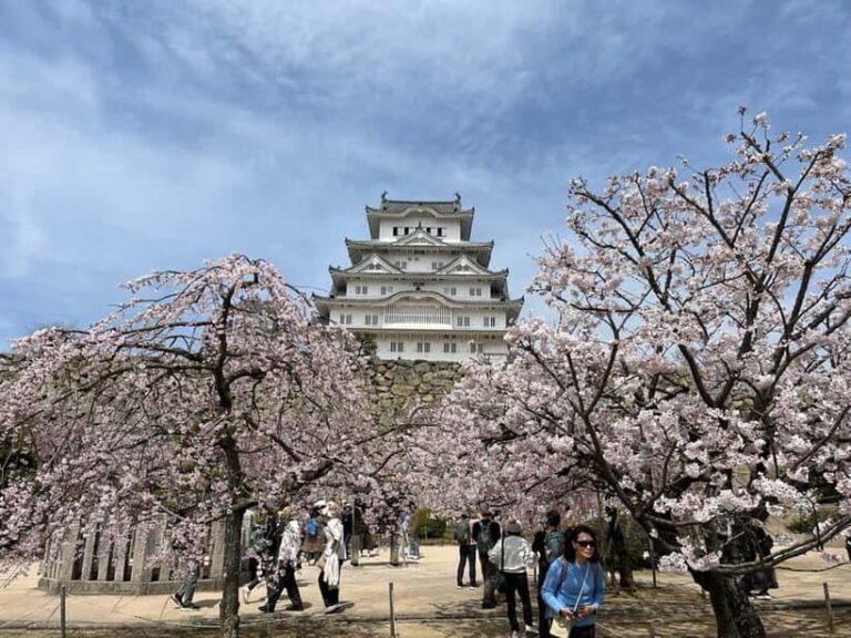 Himeji: visit the castle and Engyoji temple from Osaka - Who Should Book This Tour?