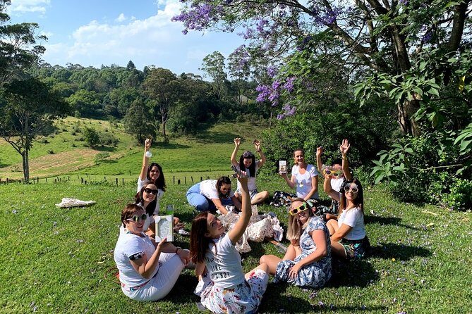 Hinterland Explorer Day Pass - The Itinerary in Detail