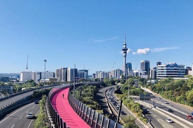 Hire A Driver For 4 Days From Auckland - Who Is This Tour Best For?