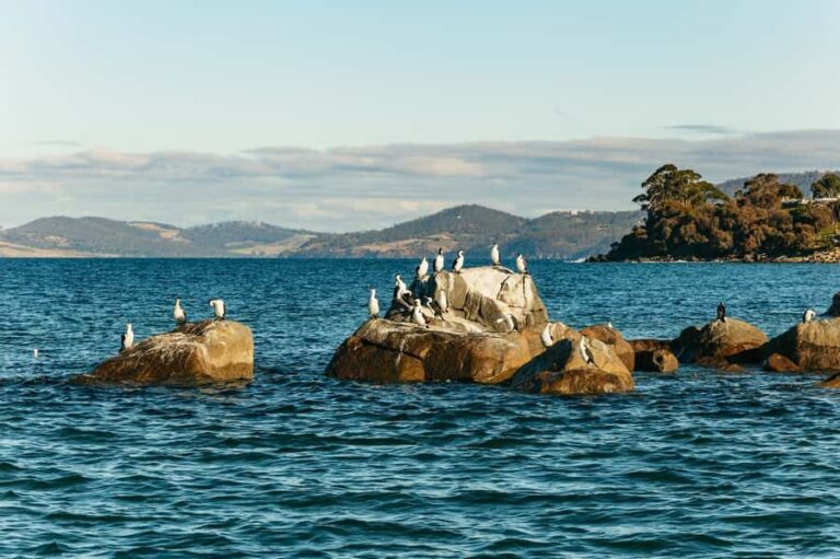 Hobart: 2.5-hour Iron Pot Lighthouse Cruise - Practical Details and What to Know Before You Go