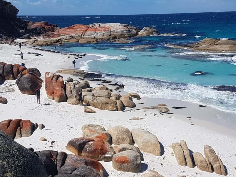 Hobart: 4 Day Wild Tasmania Tour - Day 1: Exploration of Tasmania’s West—including Cradle Mountain