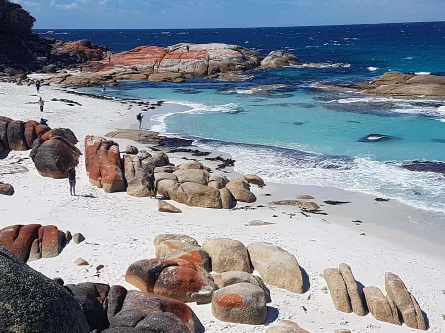 Hobart: 4 Day Wild Tasmania Tour - Day 1: Exploration of Tasmania’s West—including Cradle Mountain