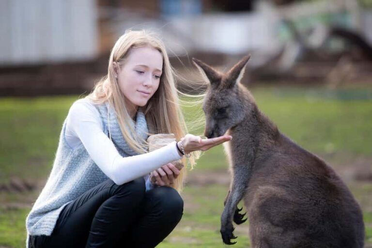 Hobart: Admission Ticket to Bonorong Wildlife Sanctuary - Who Should Visit?