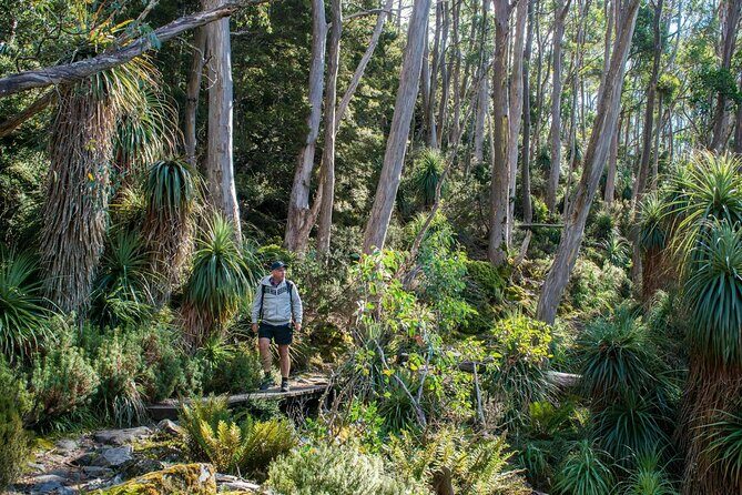 Hobart Adventurer Day Tour | Amazing Views & Native Wildlife - Practical Details and Value