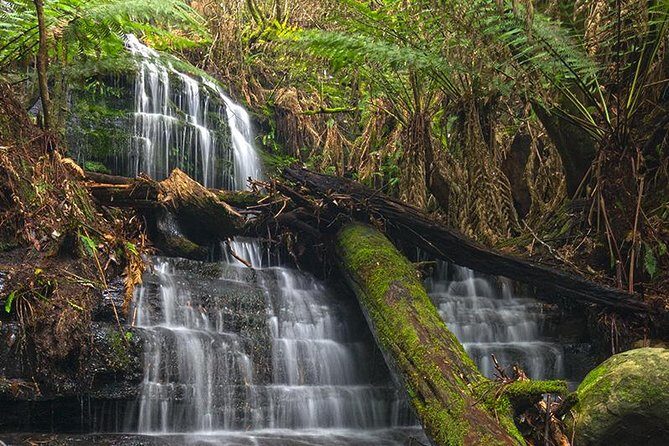 Hobart and Surrounds Photography Workshop - Final Thoughts: Is It Worth It?