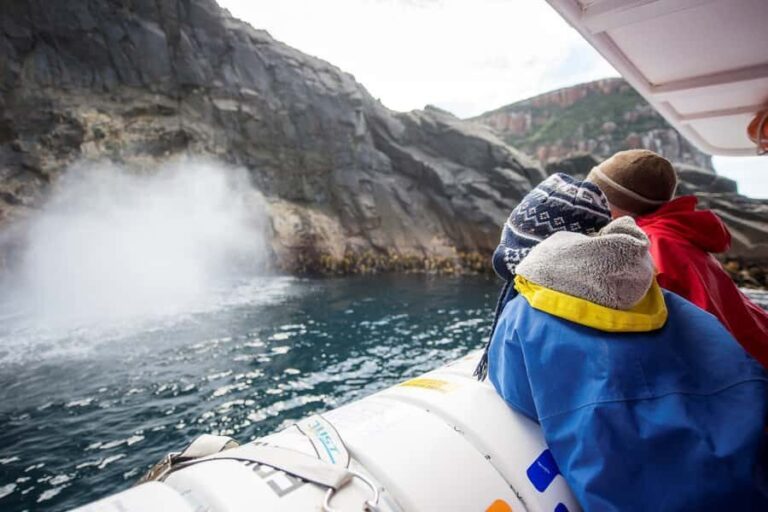 Hobart: Bruny Island Wilderness Coast Eco Cruise with Lunch - Who Should Consider This Tour?