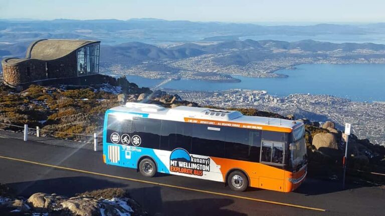 Hobart: Day Trip to Mt Wellington and MONA with Ferry Ride - Who Should Consider This Tour?