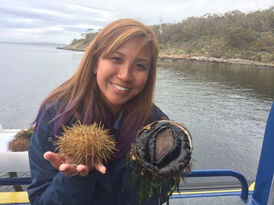 Hobart: Full-Day Tasmania Gourmet Seafood Cruise - The Itinerary: A Day of Fresh Flavors and Scenic Beauty