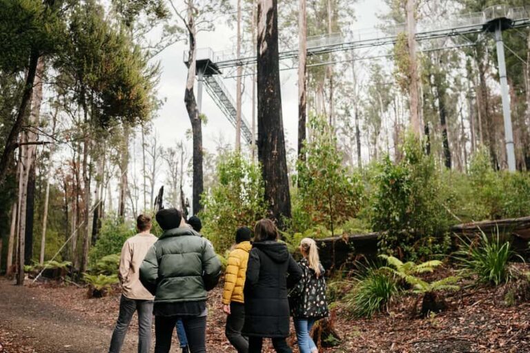 Hobart: Hastings Cave, Tahune Airwalk and Huon Tasting Trail - The Experience from the Traveler’s Perspective
